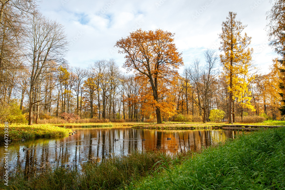 Beautiful autumn park with lake and colorful leaves. Beautiful autumn park with lake and colorful leaves.