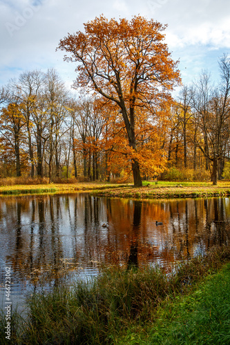 Beautiful autumn park with lake and colorful leaves.