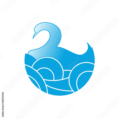 Blue swan on water