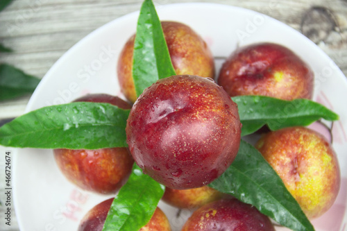 Close-up of fresh plums in a white dish, plum leaves, top view