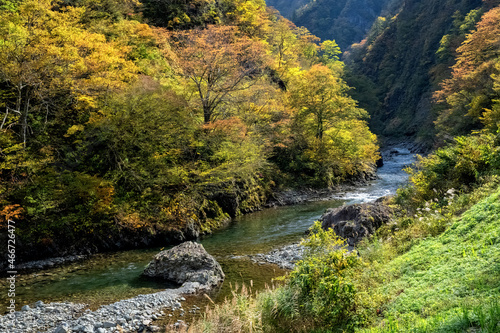 清津峡の黄葉 © Keiichi Wakui