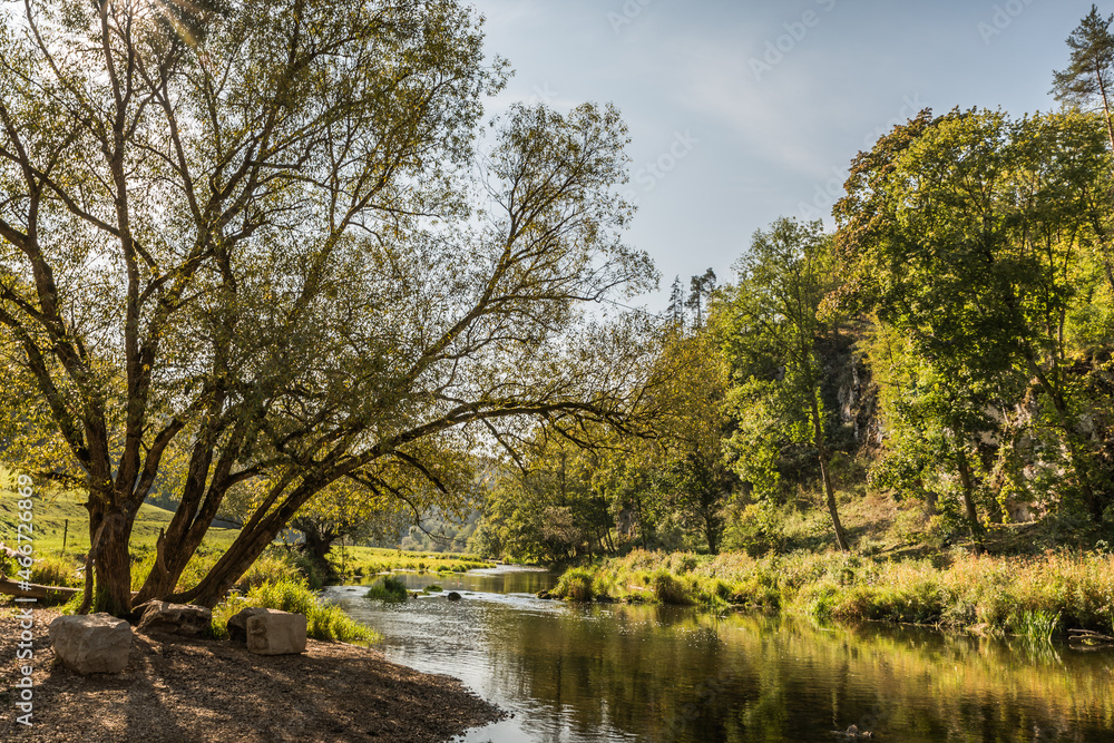 Donau bei Fridingen an der Donau, Donautal, Naturpark Obere Donau, Baden-Württemberg, Deutschland Donau bei Fridingen an der Donau, Donautal, Naturpark Obere Donau, Baden-Württemberg, Deutschland