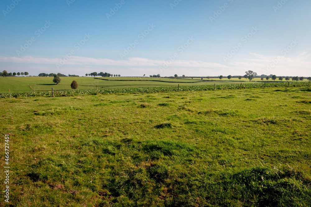 Fototapeta premium The landscape of the province of Limburg with valleys and hills in the vicinity of the village of Mechelen, the Netherlands