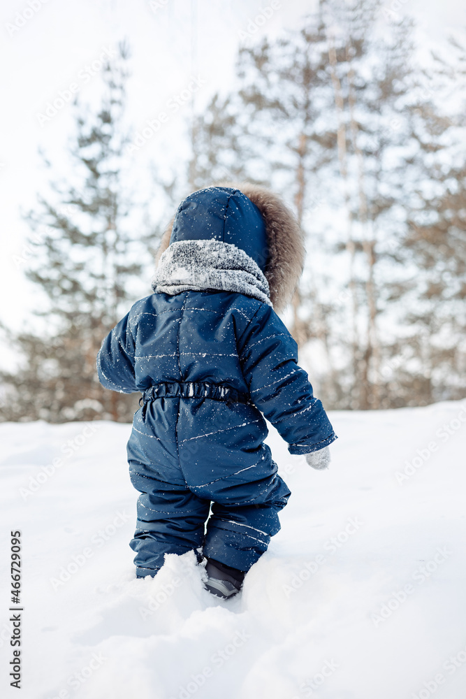 Child walking in snowy spruce forest. Little kid boy having fun outdoors in winter nature. Christmas holiday. Cute toddler boy in blue overalls and knitted scarf and cap playing in park.