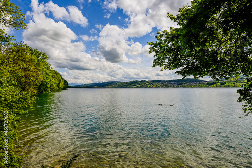 Meisterschwanden  Hallwilersee  See  Seeufer  Seeuferweg  Naturschutzgebiet  Beinwil  Dorf  Meisterschwanden  Naturschutzgebiet  Schifffahrt  Aargau  Sommer  Schweiz