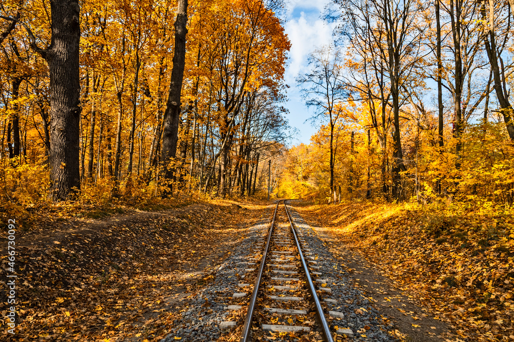 Narrow gauge single track railway in autumn forest in Indian summer, yellow leaves, sunlight and blue sky. Kharkov, Ukraine.