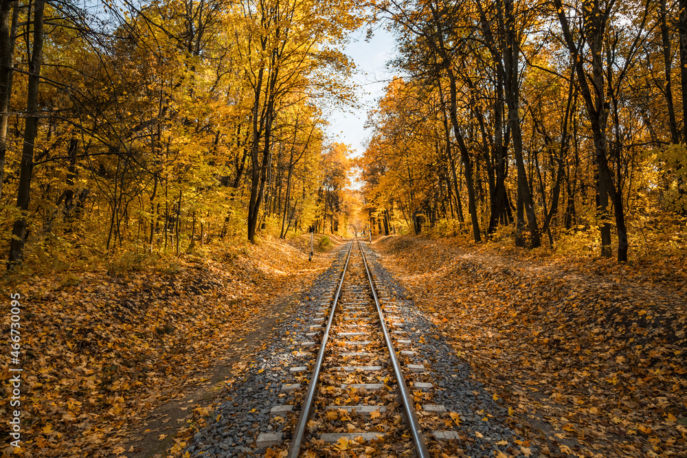 Narrow gauge single track railway in autumn forest in Indian summer, yellow leaves, sunlight and blue sky. Kharkov, Ukraine. Narrow gauge single track railway in autumn forest in Indian summer, yellow leaves, sunlight and blue sky. Kharkov, Ukraine.
