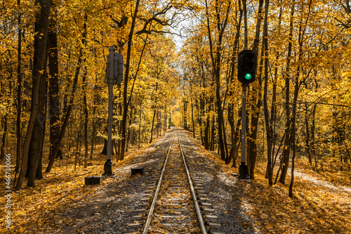 Narrow gauge single track railway and green traffic light in autumn forest in Indian summer  yellow leaves  sunlight and blue sky. Kharkov  Ukraine.