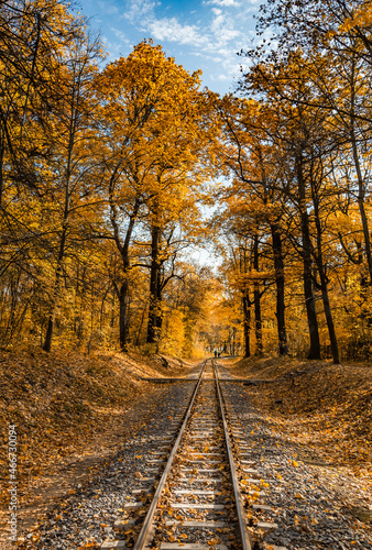 Narrow gauge single track railway in autumn forest in Indian summer, yellow leaves, sunlight and blue sky. Kharkov, Ukraine.