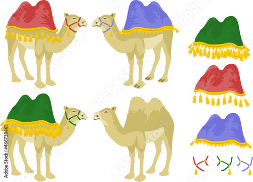 Camellos de los reyes magos para navidad. photo