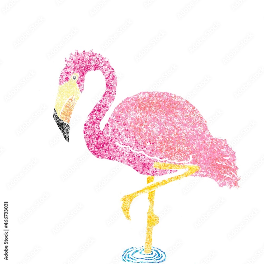 Flamingo Flamingo