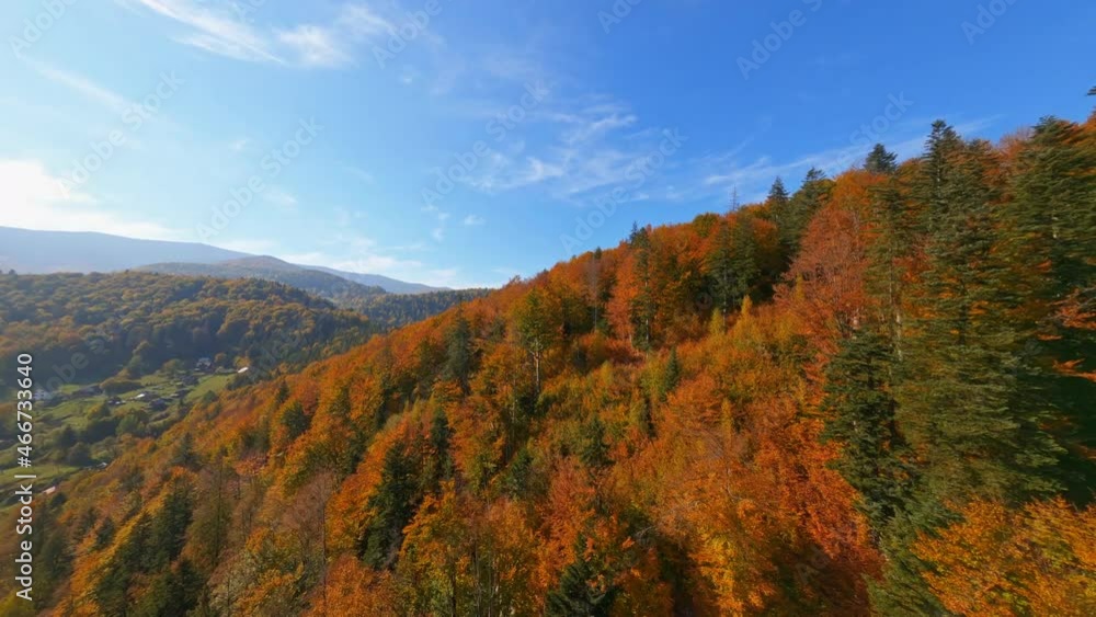 FPV views of picturesque wild autumn nature landscape. Scenic colorful green and orange forests, mountains and sunny skyline. Aerial flight.