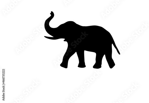elephant silhouette vector © kishore chandra