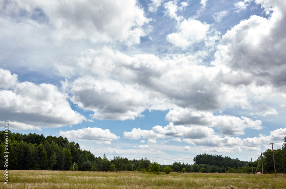 Dense forest against the sky and meadows. Beautiful landscape of a row of trees and blue sky background Dense forest against the sky and meadows. Beautiful landscape of a row of trees and blue sky background
