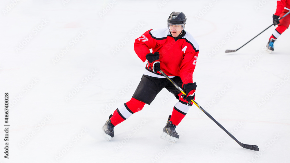 Fototapeta premium Professional ice hockey player on defending position on the rink.