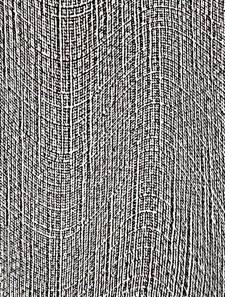 Fototapeta premium Background, paper with abstract lines. Modern wallpaper, wall art. Texture with lines for advertising, goods and postcards, business presentations. Space for text with a texture pattern