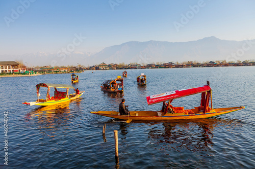Canvas Print Shikara boat Dal lake, Srinagar, Jammu and Kashmir, India