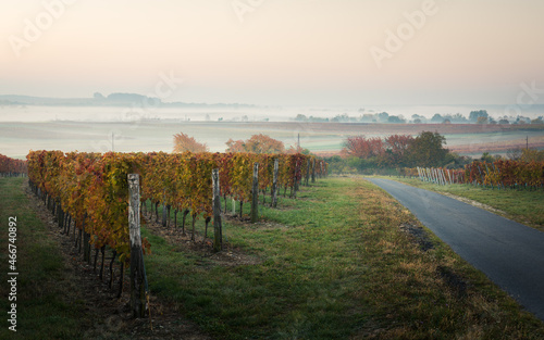 Autumn landscape with fog near village of Horitschon in Burgenland