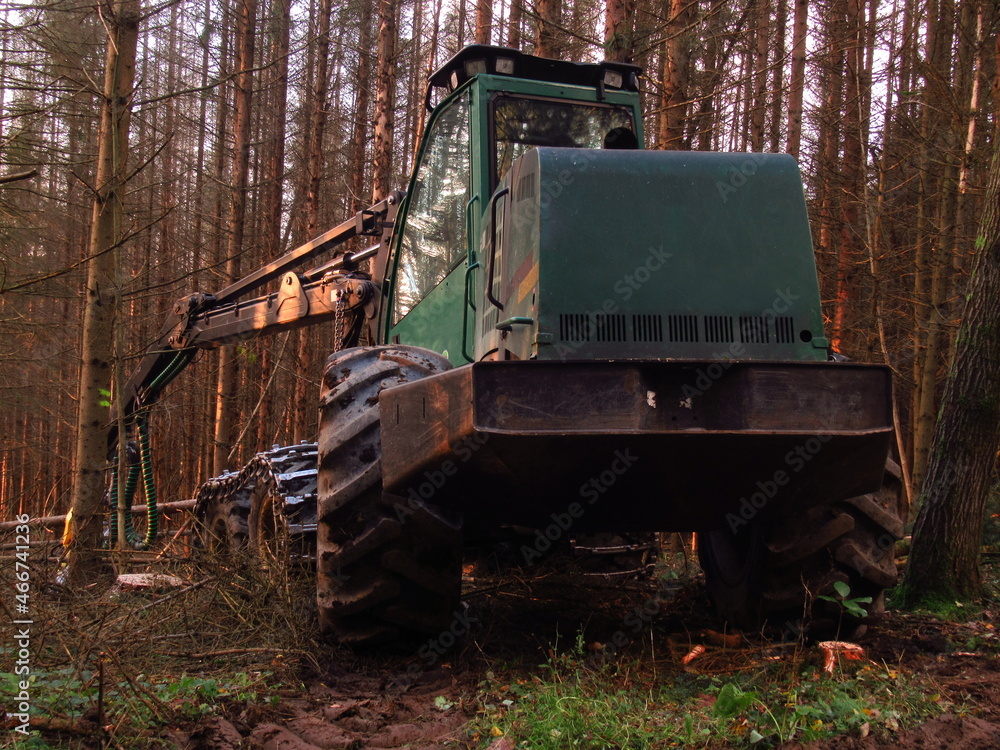 Alter Harvester in dichtem Nadelwald Alter Harvester in dichtem Nadelwald