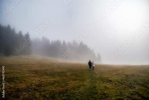 Hiking couple walking in misty fir forest