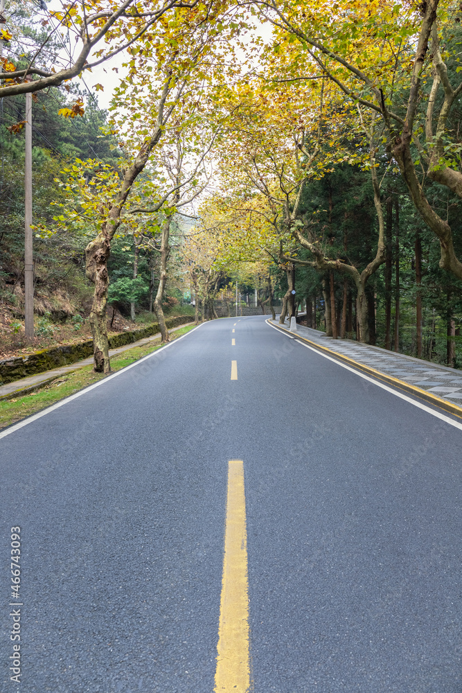 asphalt road in autumn mountains