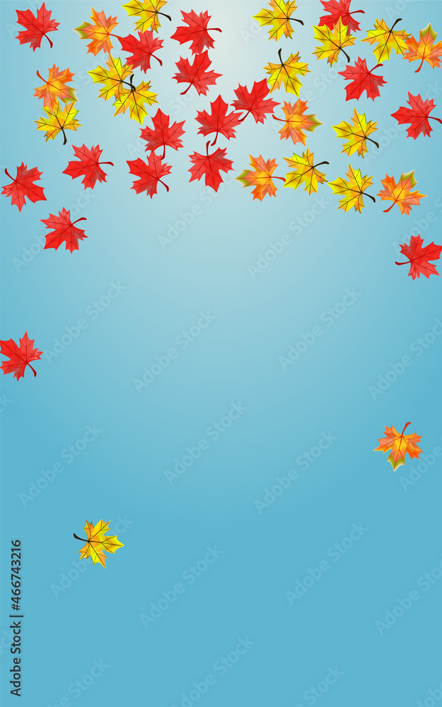 Orange Leaf Background Blue Vector. Plant Tree Template. Brown Ground Leaves. Design Foliage Card. Orange Leaf Background Blue Vector. Plant Tree Template. Brown Ground Leaves. Design Foliage Card.