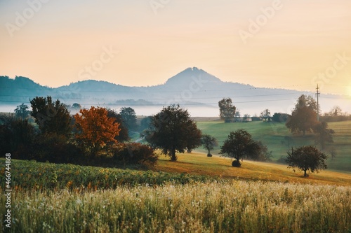a large green field with trees in the background, fall, autumn, indian summer, Göppingen, Germany