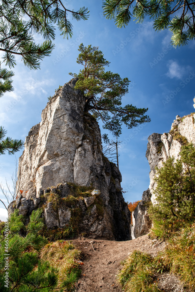 Rock formations in forest. Hill Sip in Slovakia