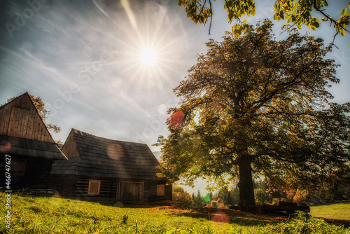 Wooden cottage and sunbeams through the colorful autumn tree photo