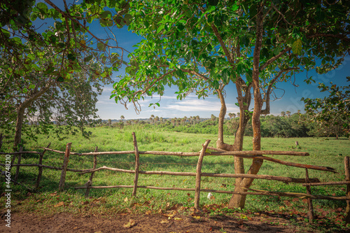 Wooden fence in foreground rural natural landscape