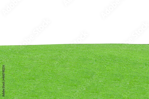 Green grass lawn fresh field isolated on white background with clipping path.