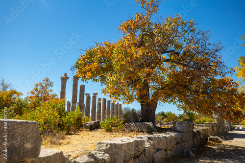 The Temple of Zeus of Diokaesareia ( Uzuncaburc ) Ancient City in Mersin, Turkey photo