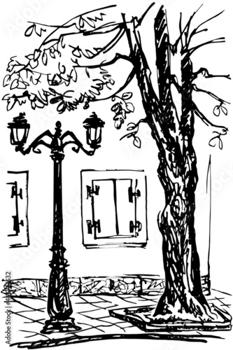 A piece of the street with a tree, a lamppost and a window. Sketch.