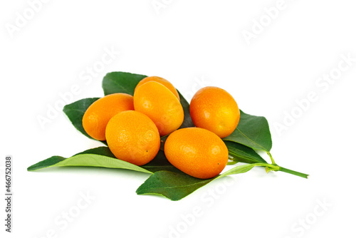 Cumquat or kumquat on green leaves isolated on white background