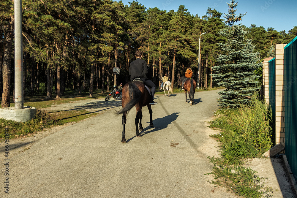 A group of horse riders gallops along the road. A group of horse riders gallops along the road.