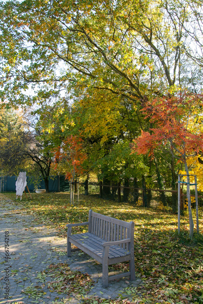 A Beautiful Autumn Scenery Captured on the Village Dolna Krupa, Trnava on Slovakia. A Beautiful Autumn Scenery Captured on the Village Dolna Krupa, Trnava on Slovakia.