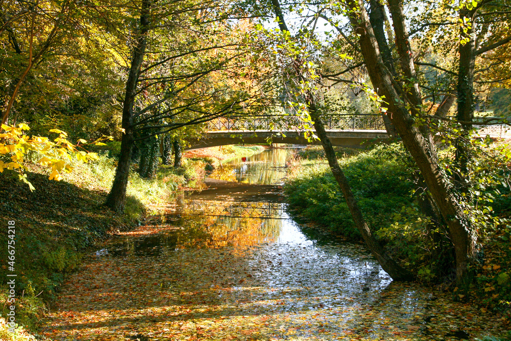 A Beautiful Autumn Scenery Captured on the Village Dolna Krupa, Trnava on Slovakia. - obrazy, fototapety, plakaty 