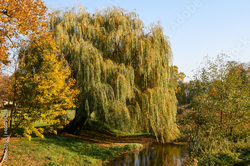 A Beautiful Autumn Scenery Captured on the Village Dolna Krupa, Trnava on Slovakia.