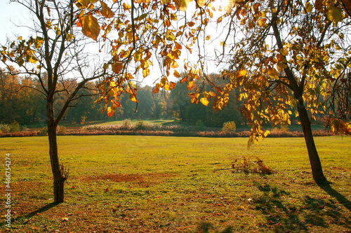 A Beautiful Autumn Scenery Captured on the Village Dolna Krupa, Trnava on Slovakia.