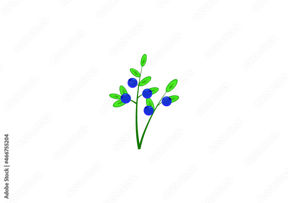 blueberry blueberry