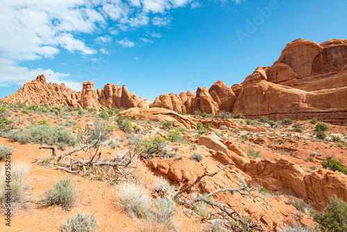 Rock formations in Arches National Park