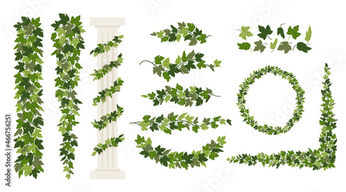 Ivy vines and wreaths, and a greek antique column entwined with ivy, elements isolated on white background. Vector illustration in flat cartoon style