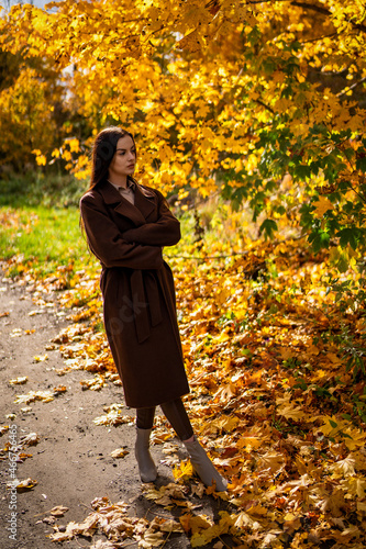 Portrait of a young woman in a brown coat in autumn