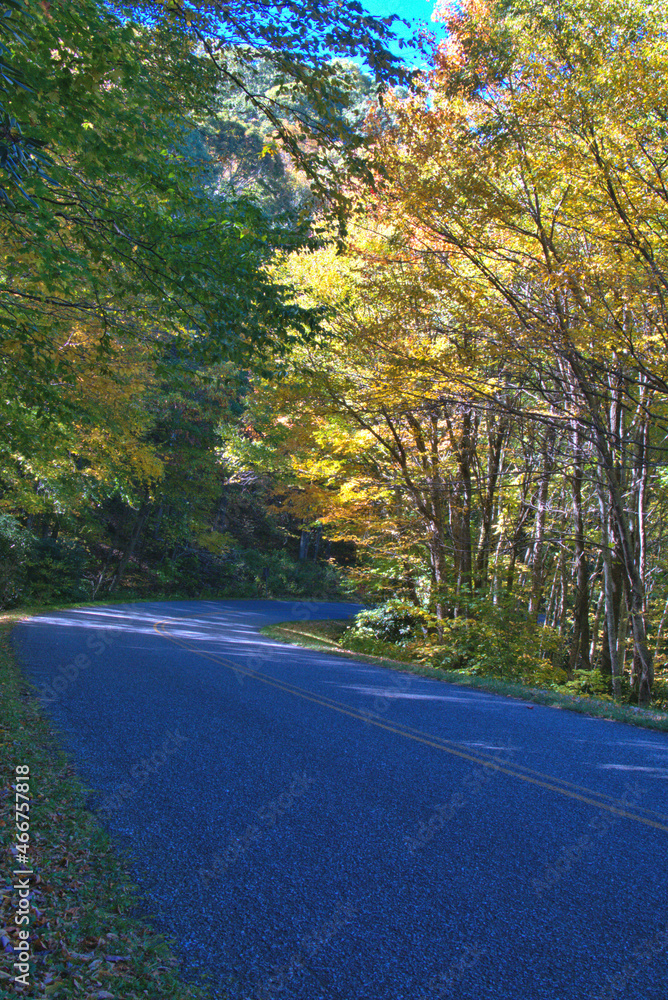 Fototapeta premium Fall Colors on the Blue River Parkway