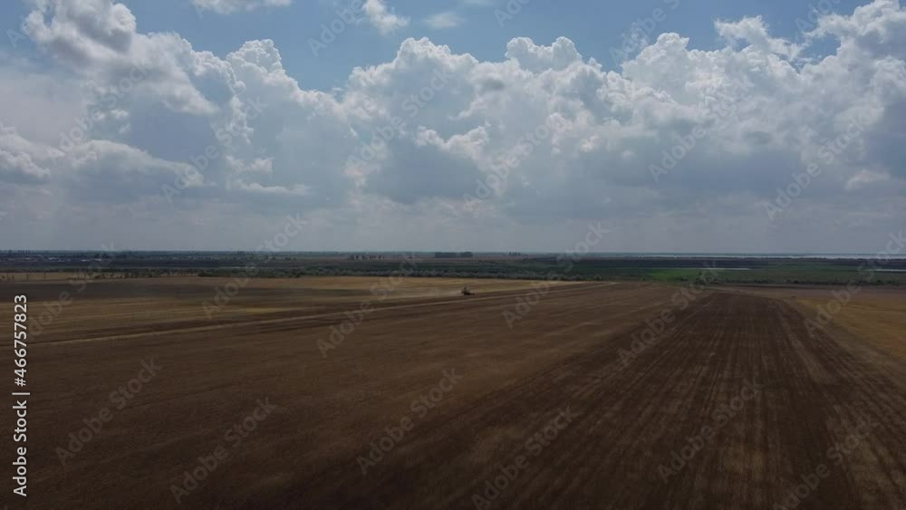 combine harvester harvests wheat in the field, video of the drone moving backwards