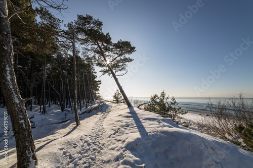 Sunny winter day at Bltic seaside. New year concept. photo