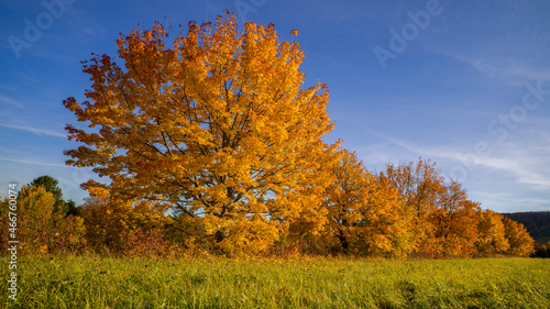 Herbstlandschaft in Brandenburg