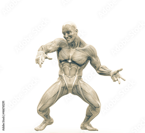 muscleman anatomy heroic body dancing in white background frontal