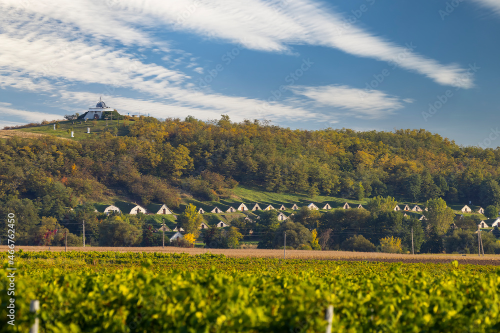 Fototapeta premium Gombos-hegyi pincesor in Hercegkut, UNESCO site, Great Plain, North Hungary