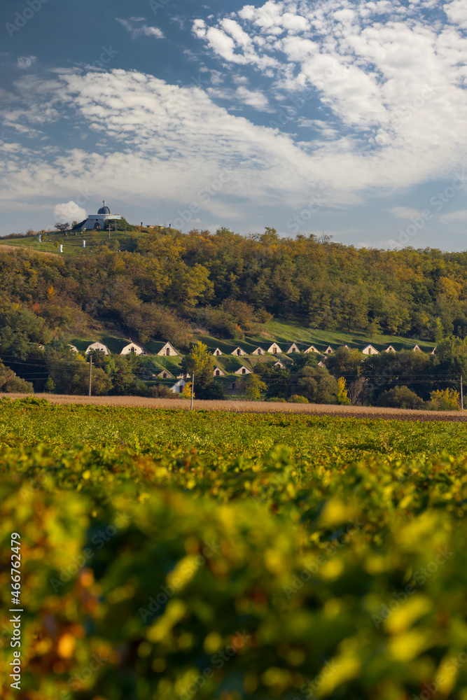 Gombos-hegyi pincesor in Hercegkut, UNESCO site, Great Plain, North Hungary